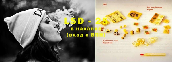 спайс Алзамай