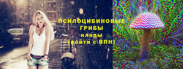 сатива Алексин