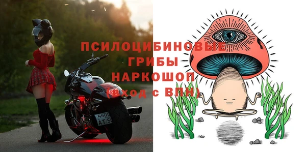 сатива Алексин